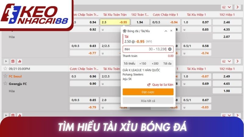 Tài Xỉu Bóng Đá: Hướng Dẫn Chuẩn Xác Cho Người Mới 2 Tìm hiểu Tài xỉu bóng đá là kèo gì