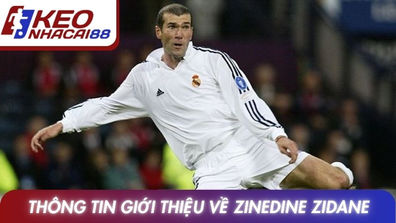 Zinedine Zidane Mãi Bất Tử Với Bóng Đá Thế Giới 2 Thông tin giới thiệu về Zinedine Zidane